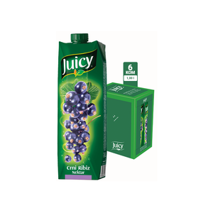 JUICY crni ribizl 25% 1L\6**